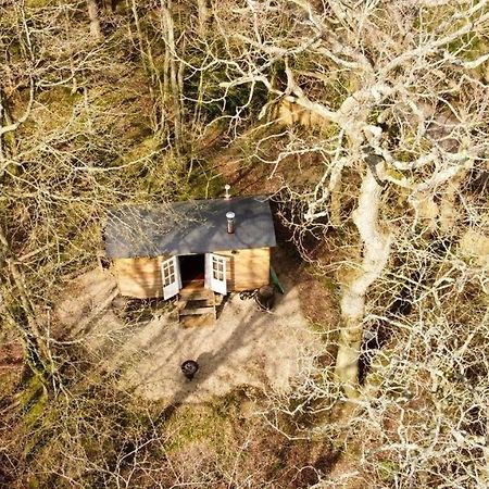 Bluebell Shepherds Hut Rolvenden Εξωτερικό φωτογραφία