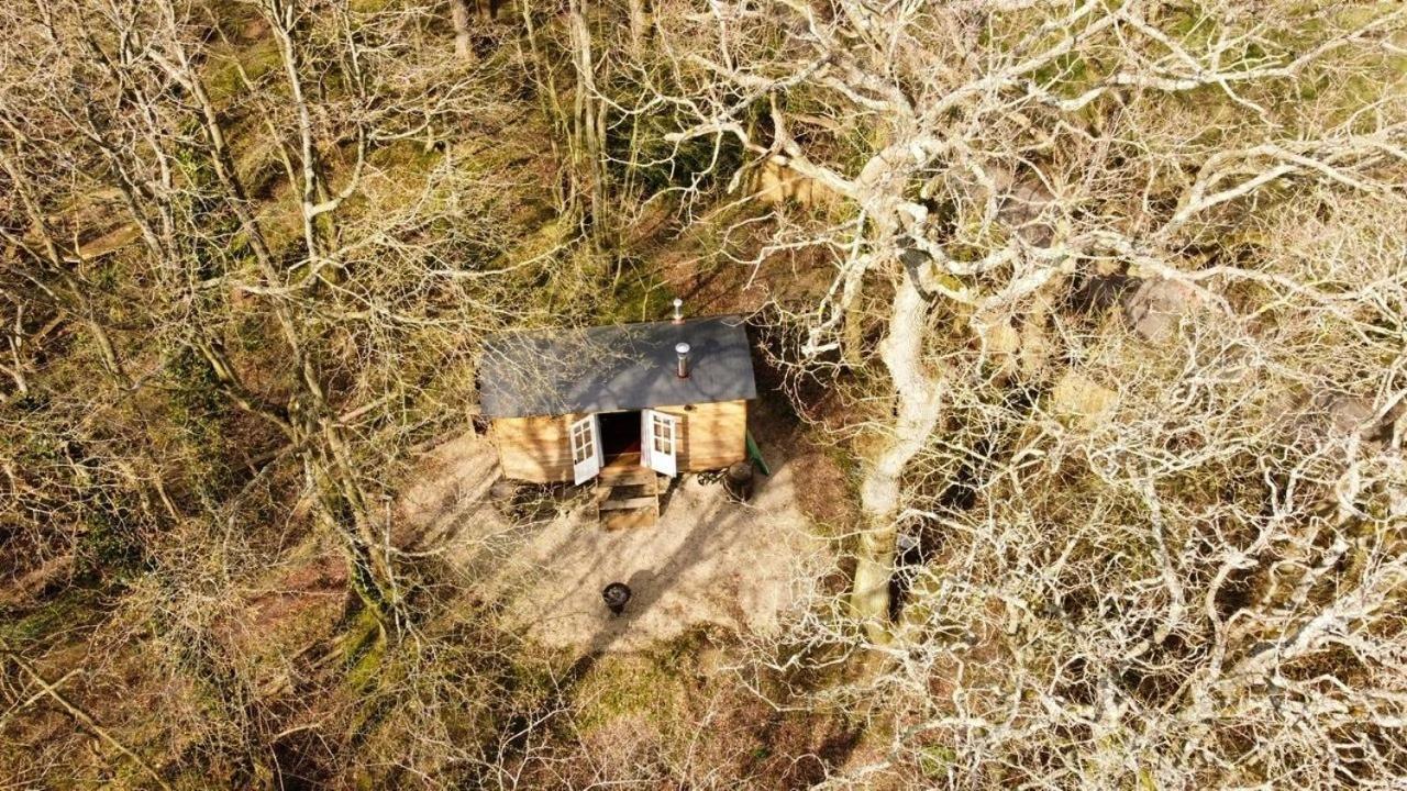Bluebell Shepherds Hut Rolvenden Εξωτερικό φωτογραφία